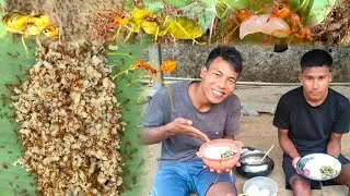 Wild Harvest:Cooking Weaver Ant For The First Time