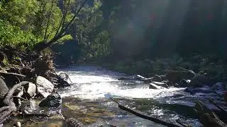 Sparkling Creek Under Sunlight | 4K Fast Flowing Stream Sounds | Nature ASMR for Energy & Focus