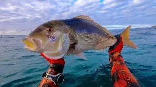Pesca submarina DENTONES AL ACECHO Cantabria 2021
