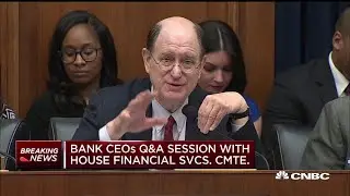 Congressman Brad Sherman presses the CEOs of America's largest banks on consumer protection