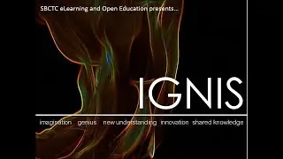 IGNIS 2018 Webinar Managing Difficult Conversations in the Online Classroom with Stephanie Delaney