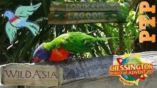 Lorikeet Lagoon - Chessington World of Adventures