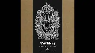 DARKLEAF - Citizens (KIMETIC PRINCIPLES Vinyl LP)