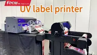 Focus Inc. New Launched UV White+Color Label Inkjet Printer with Die Cutter & Waste Removal Machine