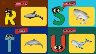 A to Z Sea Mammals ABC Song 🐳🐬 | Learn Ocean Animals & Alphabet for Kids | UZR Kids #abcd