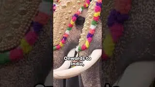 5 Bizarre Traditions Around the World #shorts #facts #interestingfacts #unknownfacts #traditional