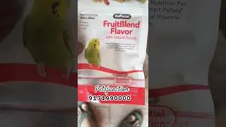 Zupreem Fruit Blend Flavour For small Birds #petsjunction #birds #zupreem #budgies #breeding