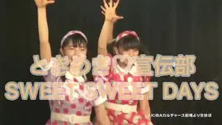 とき宣 SWEET SWEET DAYS