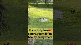 Nature therapy #fitness #motivation #love #ytshorts #viral #calm #mindset