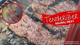 NATURAL MEAT TENDERIZER