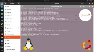 How to fix Mouse Pointer Bug Lag on Ubuntu Touchpad 20.04 LTS