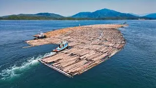 Five Tugboats Escort Mega Log Boom to Prince Rupert's Shore - DJI Mini 3
