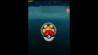 Pokeball glitch