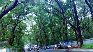 Canoli's plot in Nilambur, Malappuram, Kerala I Cannoli Plot