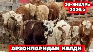 ЯНГИ ПАРТИЯ КЕЛДИ АРЗОНЛАРИДАН ШОДЛИК ОҒАНИ ФЕРМАСИ ХИА 26-января 2026 г.