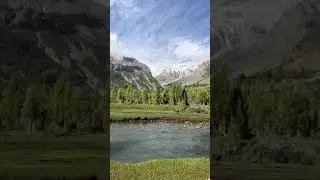 Basho Meadows | Forest | Skardu | Baltistan| Tourism| Beautiful Destination |