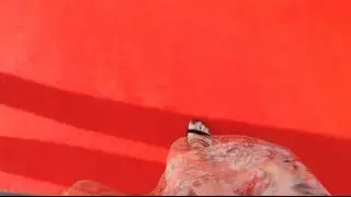 Memoires of Flickerfest 2017 (RUBY TV)