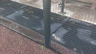 Dugout Rail Pad