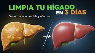 ESTE Detox de 3 D&iacute;as REGENERA Tu H&Iacute;GADO 😱