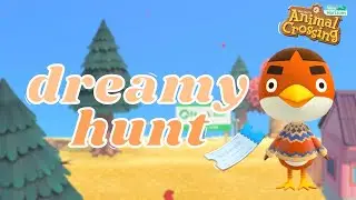Dreamy Hunting For Anchovy! | Animal Crossing New Horizons