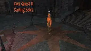 Saving Soles