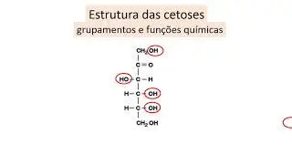 estrutura dos monossacarídeos, aldoses e cetoses