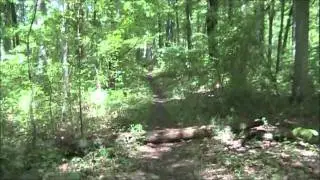 Low Gap Trail Hike Review.wmv