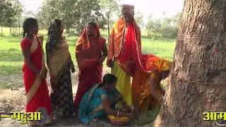 birti tola mix # Hindu Sanskar # Lok Sanskar # Hindu vivah # Bihar # Bairganiya