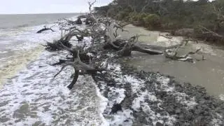 Driftwood Beach on Jekyll Island Georgia Phantom DJI 3 Drone Footage 6