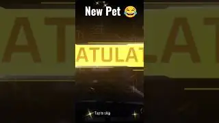 NEW PET COMING SOON 🔥🔥 ll OB40 Update ll #short #freefire