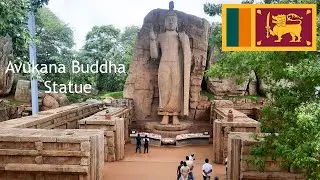 🇱🇰 Avukana Buddha Statue | Visit Sri Lanka