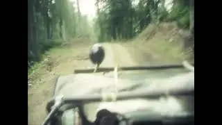00июля 20какоготогода