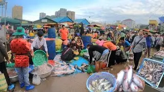 Fish & Seafood Distribution @ Chbar Ampov Market - Carp Fish, Shrimp, Catfish, Dried fish, & More