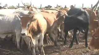 Magude e o efeito do El Niño