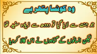 islamic studies question and answer||most important quiz about world||gk general knowledge questions
