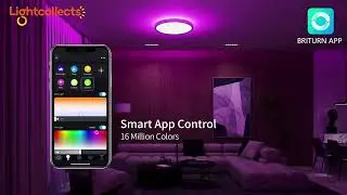 Minimalist Modern Round Aluminum Bluetooth Remote Smart LED Ceiling Light