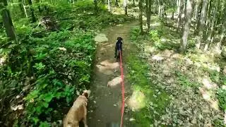 Levins First Singletrack