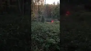 22LR Red Tracers