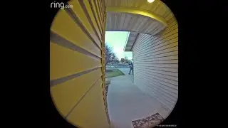 DEA Raid