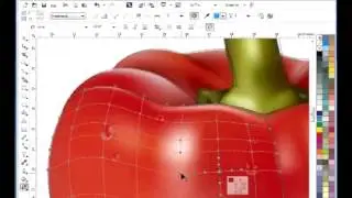 CorelDraw Mesh Tool Quick Tutorial
