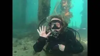 Janae&rsquo;s Try Dive  New Years Eve 2024 Rye Pier
