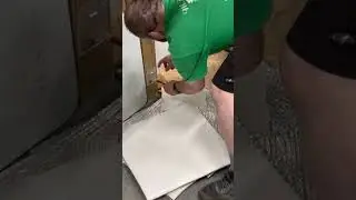 Spider trap huge FAIL #shorts