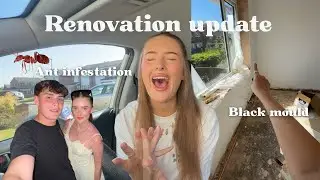 🐜We have an ant INFESTATION 😭 black MOULD 🫣 renovation update post holiday DAY 160