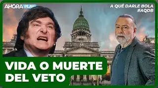 Se define el CONGRESO: VIDA o MUERTE del VETO | Reynaldo Sietecase y Paula Macchi