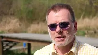 raymann kraft der sonne ist &Ouml;komanagement Pionier