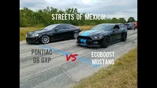 Ecoboost Mustang vs Pontiac GXP, Focus RS vs SVT Lighting, Chevy SS & BMW E39 M5