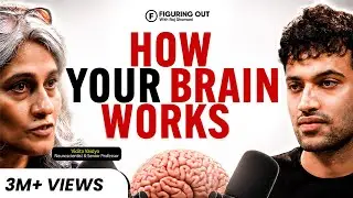 Top Brain Scientist: Billionaire Brain, Anxiety & Addictions | Vidita Vaidya | FO518 Raj Shamani