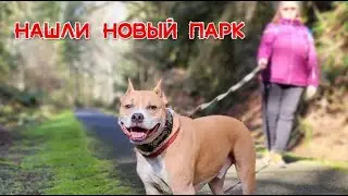 Летаю на дроне | Новые места в лесу....