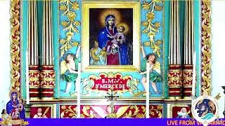 06 NOVEMBER 2025 - 05.30PM || LIVE HOLY MASS  ||  VALLARPADAM SHRINE BASILICA