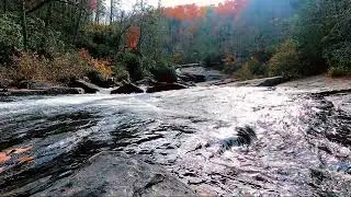 Beautiful running creek/ Water sounds through a dupont forest